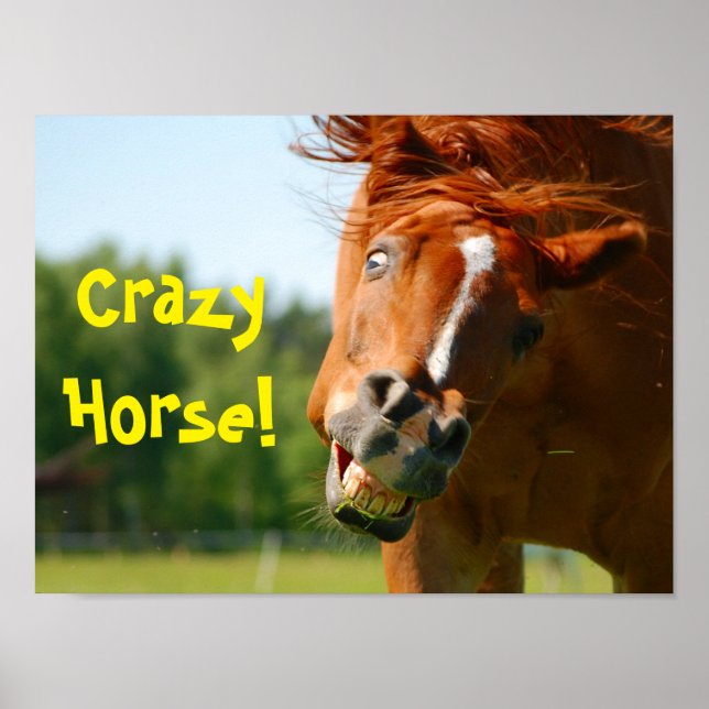 Funny Crazy Horsy Animal Poster (Vorne)