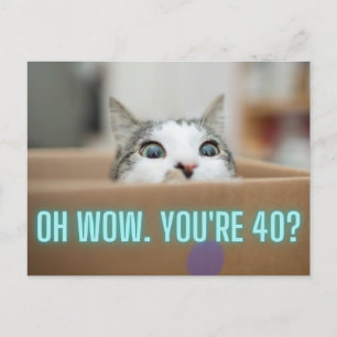 Funny Curious Cat 40. Geburtstag Postkarte
