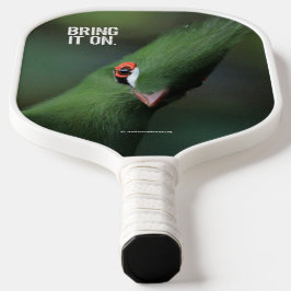 Funny Curry Guinea Turaco Green Bird Pickleball Schläger