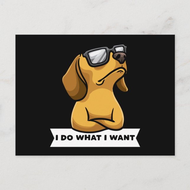 Funny Dachhund Hund lustiges Geschenk Idee Postkarte (Vorderseite)