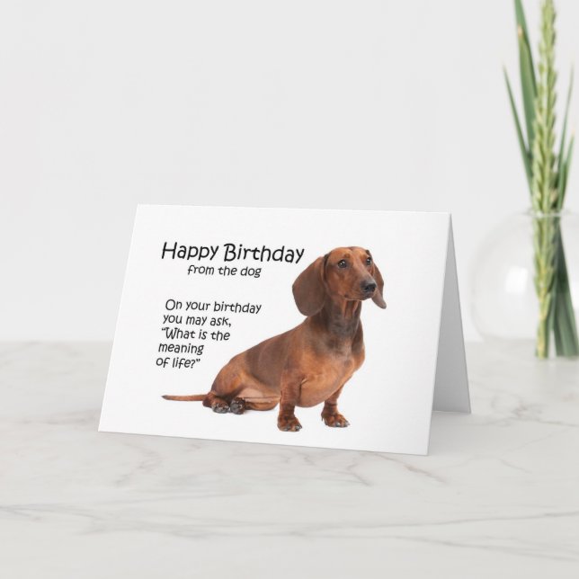 Funny Dachshund Carte d'anniversaire (Devant)