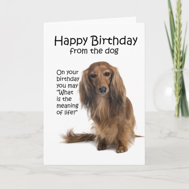 Funny Dackel Birthday Card Karte (Vorderseite)