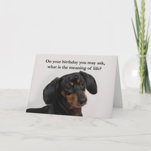 Funny Dackel Card Karte (Vorderseite)