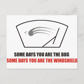 Funny - Das Leben als Bugs auf einer Windschutzsch Postkarte