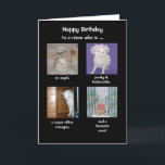Funny Daughter/Tochter-in-law/Niece Birthday Karte<br><div class="desc">Vier Bilder von Missy. Text: "Happy BIrthday zu einer Nichte, die ist ... ein Engel, hübsch und modern, ein Supermanager und ein fantastischer Koch!" Sie können sich für jedes Weibchen anpassen. (Meine Nichte ist wirklich ein Büromanager. Man könnte gute Schüler stellen, etc. wo Missy hinter dem Computer sitzt. Im Inneren...</div>