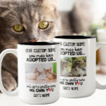 Funny Deep Cat Sprichwort | Foto und Name der benu Zweifarbige Tasse<br><div class="desc">Das ist ein unglaublich witzig und verlässliches Zitat! Die maßgeschneiderte Tasse mit einem Foto Ihres KatzenSprichworts "Du hast mich vielleicht adoptiert, aber ich bin hübsch sicher, dass ich dich besitze" ist eine großartige Möglichkeit, die allgemeine Wahrnehmung, dass Katzen die Wurzeln beherrschen, zu unterhalten. Die Tasse würde jedem Katzenliebhaber ein tolles...</div>