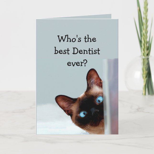 Funny Dentist Birthday wünscht Siamese Cat Karte (Vorderseite)
