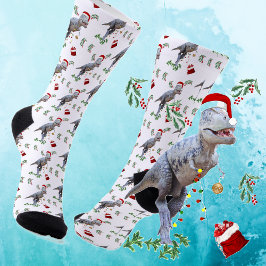 Funny Dinosaur Christmas Socken
