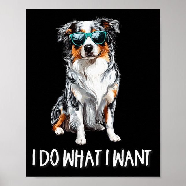 Funny Do What I Want Blue Merle Australian Shepher Poster (Vorne)