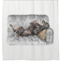 Funny Doberman on Sofa