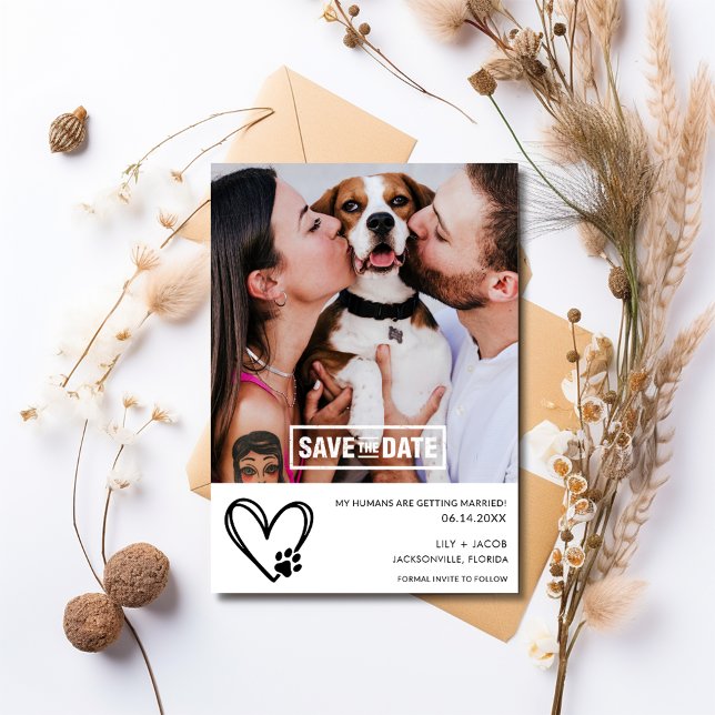 Funny Dog 2 Foto Hochzeit Save The Date (Funny Dog 2 Photo Wedding Save The Date)