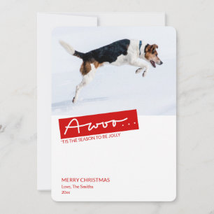 Funny Dog 2 Foto Template Weihnachtskarte Feiertagskarte