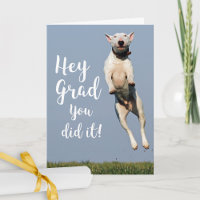 Funny Dog Abschluss Card Glückwunsch Grad