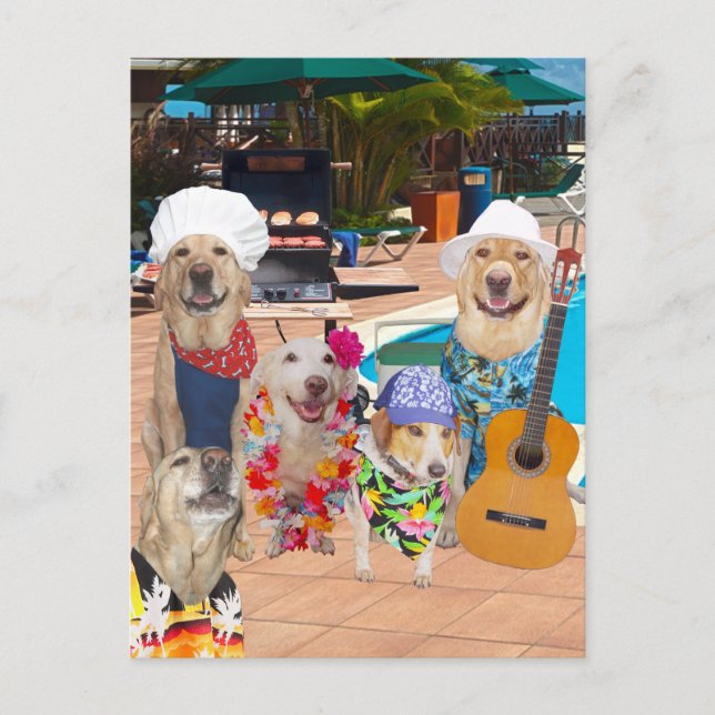 Funny Dog Anpassbare Pool Party Postcard Einladung (Vorderseite)