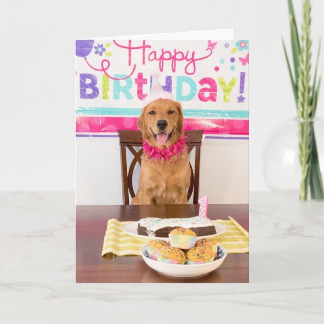 Funny Dog Birthday Card Karte (Vorderseite)
