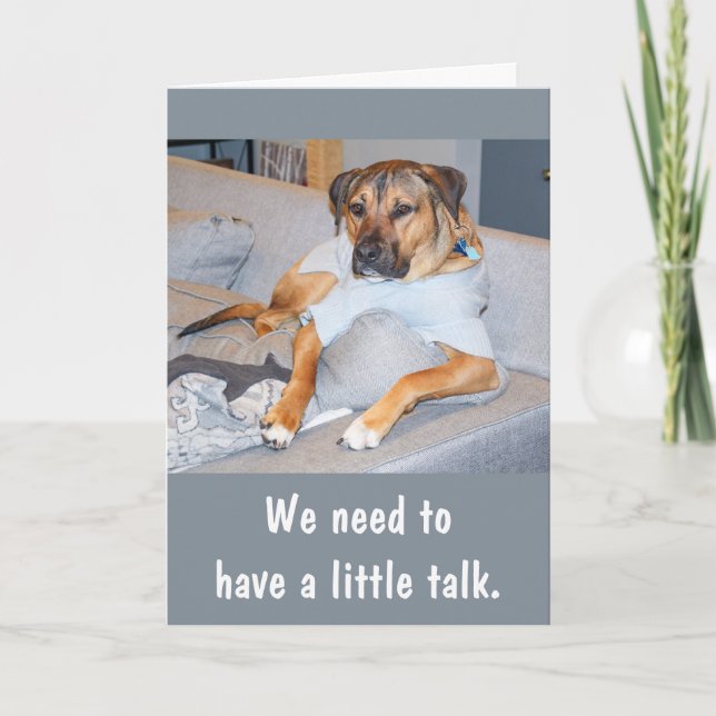 Funny Dog Birthday Card Karte (Vorderseite)