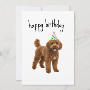 Funny Dog Birthday Card - Poodle Mama oder Vater G Einladung