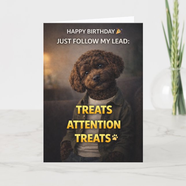 Funny Dog Birthday Card Treats Attention Cockapoo Karte (Vorderseite)