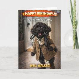 Funny Dog Birthday Card Well Walked Cockapoo Karte