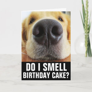 FUNNY DOG BIRTHDAY GREETING CARD KARTE