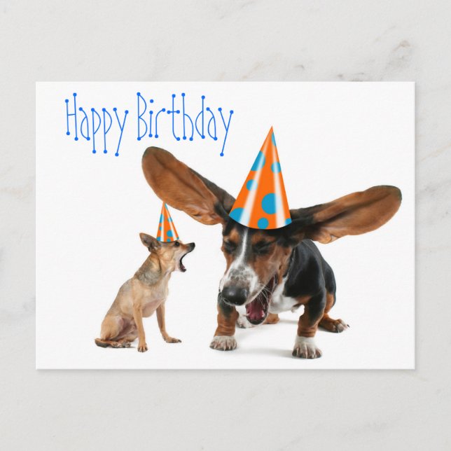 Funny Dog Birthday Postkarte (Vorderseite)