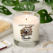 Funny Dog Furzen