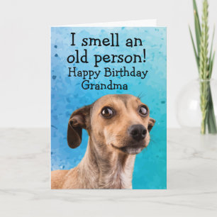 Funny dog Geburtstag Karte