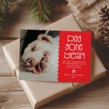 Funny 'Dog Gone Year' Pet Foto