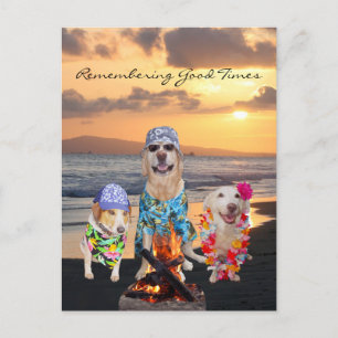 Funny Dog Graduation Party auf der Beach Postcard Einladungspostkarte