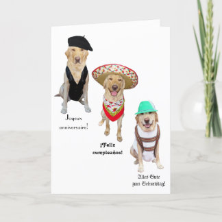 Funny Dog Happy Geburtstag in vier Sprachen Karte