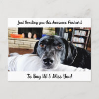 Funny Dog "I Miss YOU" Sprichwort Hi Postcard