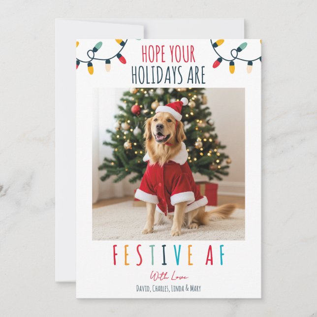 Funny Dog Katze Foto Weihnachten Weihnachtsfest AF (Vorderseite)