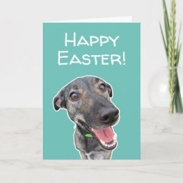 Funny Dog Liebhaber Osterkarte Karte