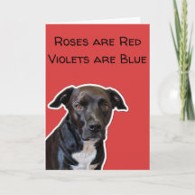 Funny Dog liebt Valentine's Day Card