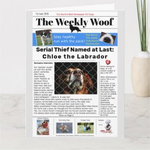 Funny Dog Newspaper Karte
