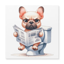 Funny dog on toilet