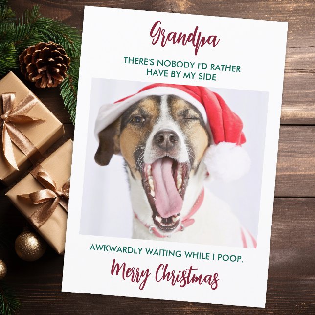 Funny Dog Opa Pet Foto Großhund Weihnachten (Von Creator hochgeladen)