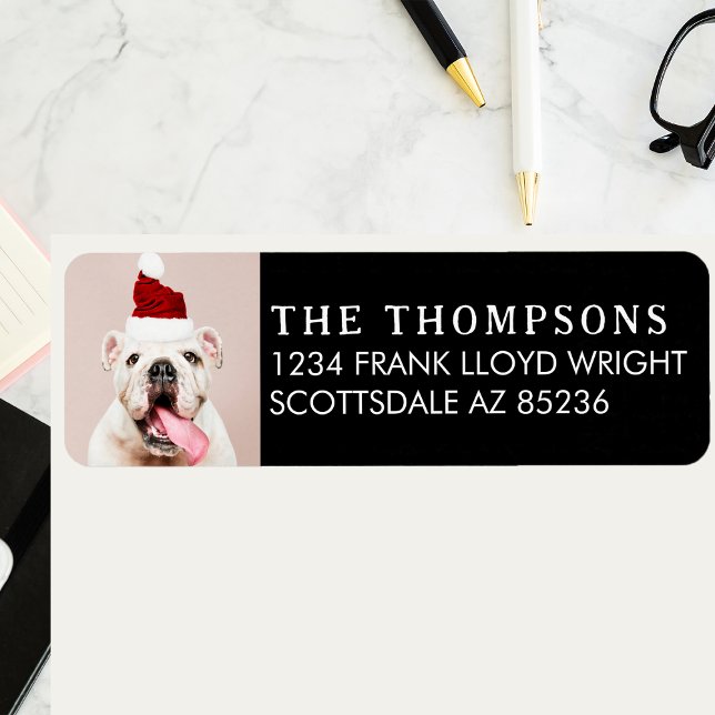 Funny Dog Picture Christmas Card Rücksendeadresse (Von Creator hochgeladen)