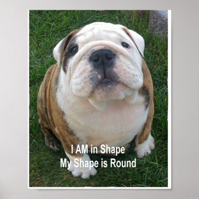 Funny Dog Poster Bulldog Hunde Hunde Kreationarts (Vorne)