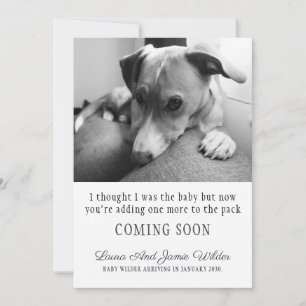 Funny Dog Pregnancy Ankündigung