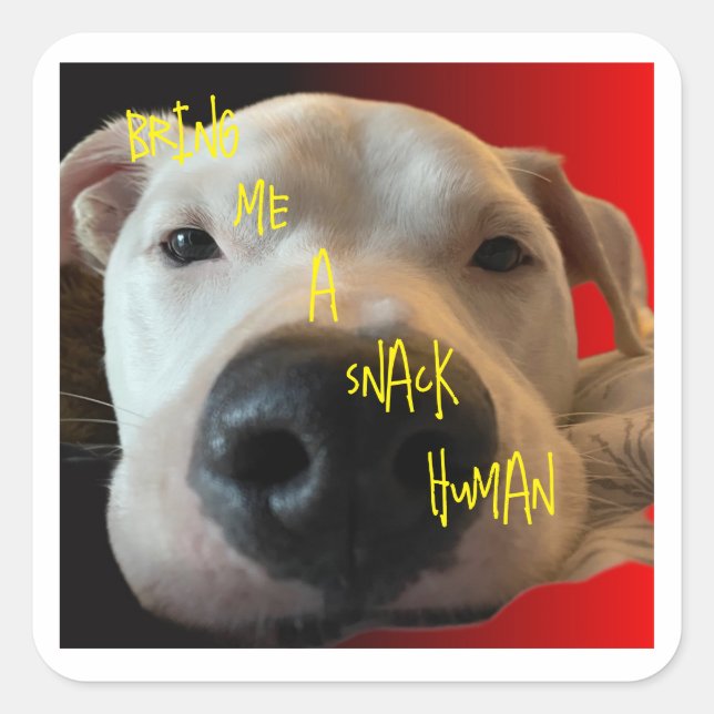 FUNNY DOG STICKER (Vorderseite)