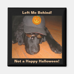 Funny Dog Verlassen hinter diesem Halloween Magnet