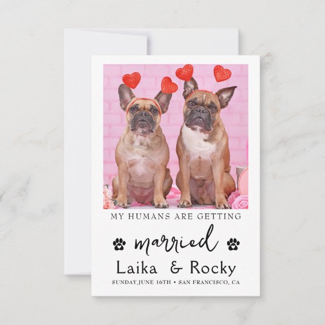 Funny Dog Wedding Invitation Save The Date (Vorderseite)