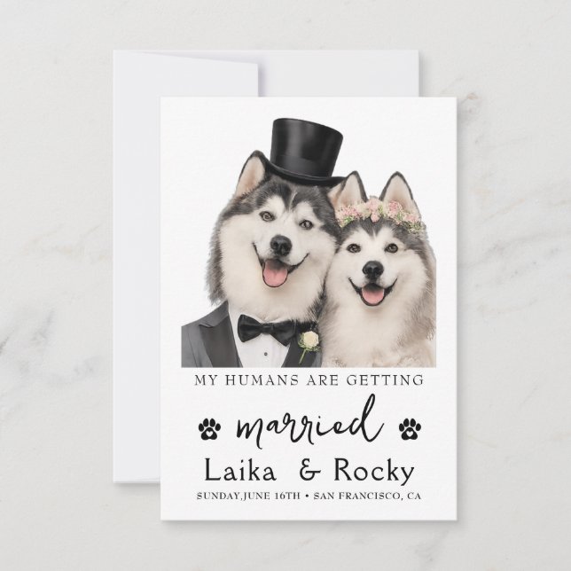 Funny Dog Wedding Invitation Save The Date (Vorderseite)