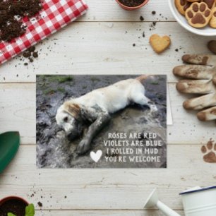 Funny Dog Welppy Valentine's Day Meme