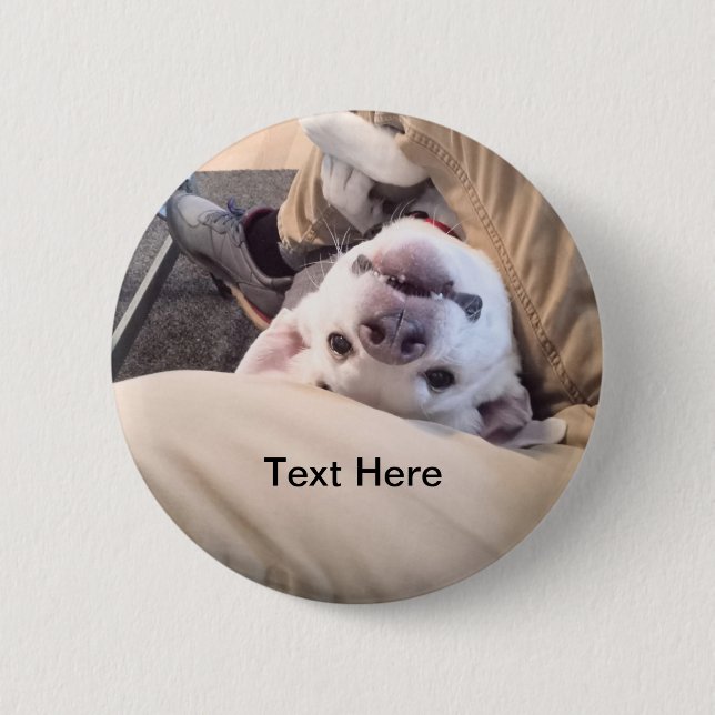 Funny Dog wird nicht zu einem komischen Foto Button (Vorderseite)