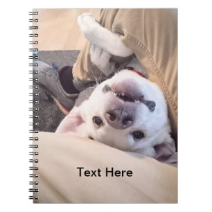 Funny Dog wird nicht zu einem komischen Foto Notizblock