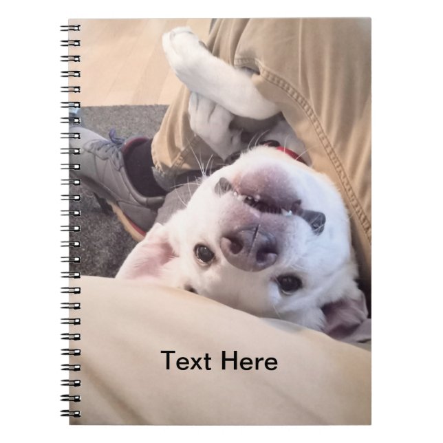 Funny Dog wird nicht zu einem komischen Foto Notizblock (Vorderseite)
