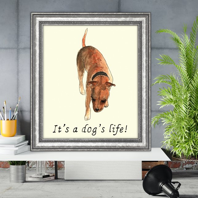 Funny Dogs Art Maggiore Poster (Its a dogs life quote and watercolor Staffordshire bull terrier poster)