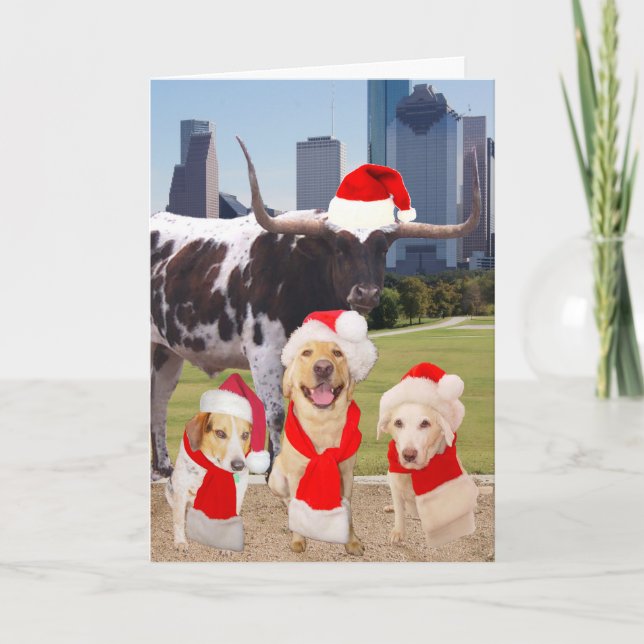 Funny Dogs Frohe Weihnachten aus Houston (Vorderseite)
